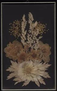 Real Dried Flower Floral Picture Wall Hanging Framed Small 7" Vintage