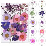 Dried Flowers for Resin Natural Dried Pressed Flowers for DIY Jewelry Molds A...