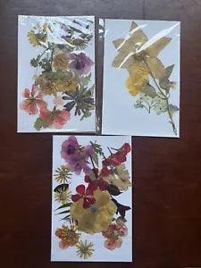Three REAL Pressed flower no color enhancement 8.5x5.5 size