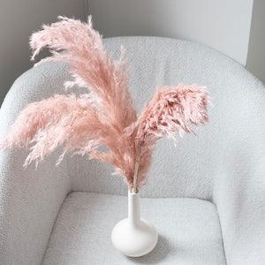 Small Pampas Grass - Dusty Pink (5 Stems)