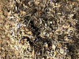 Rosemary Coltsfoot Red Clover Thyme Lavender Mullein -No.27 Herbal Blend Mixture