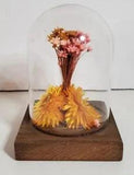Vintage Leonard Creations California Dried Flower Glass Dome on Wood Base