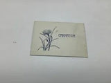 Original Card circa 1890; aprox 2 1/2 x 3 1/2" -- Flower - CARNATION