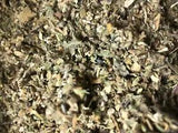 No.23 Blend Herb Osha Lobelia Mull Colts Catnip Raspberry Mint Leaf 1/4 oz ounce