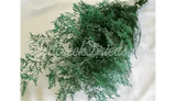 PRESERVED DYED DARK EMERALD GREEN CASPIA FLORAL FOLIAGE FILLER FLOWER