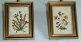 ?Set of 2 Vintage Tyrol Austrian dried flower art
