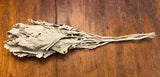 Dried BOUQUET, Dusty Miller, Dried Flowers, Dried Foliage, Silver, Gray Filler