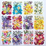 Nature Dried Pressed Flowers Crafts for Candle DIY Resin Jewelry Making Decors
