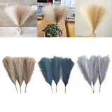 3Pcs Dried Pampas Grass Phragmites Reed Flower Flower Arrangement Bunch Gift