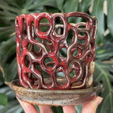 Red Ceramic Pottery Orchid Planter Pot with Holes and Saucer