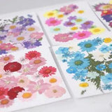 Press Dried Flowers Leaves For Epoxy Resin Jewelry Making Craft
