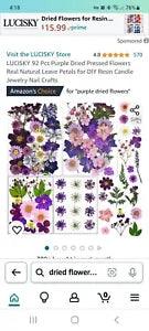 Dried Flowers for Resin Natural Dried Pressed Flowers for DIY Jewelry Molds, Art