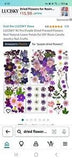 Dried Flowers for Resin Natural Dried Pressed Flowers for DIY Jewelry Molds, Art