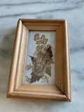 Small Framed Dried Flowers Handmade Russia 1993 Vintage