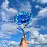2 Flowers Pink Artificial Galaxy Iridescent Blue for a gift bouquet of flower.