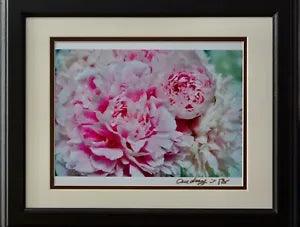 Gorgeous Feeling Beautiful Peony Flowers. Photography by Audrey Yamaoka