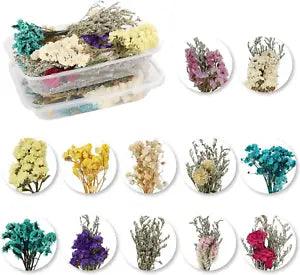 40PCS Mini Dried Flowers Bouquets,4 Boxes Natural Dry Flower&Leaves Plant Stem B