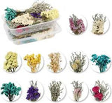 40PCS Mini Dried Flowers Bouquets,4 Boxes Natural Dry Flower&Leaves Plant Stem B