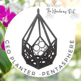 Geometric Orchid Planter - Pentasphere