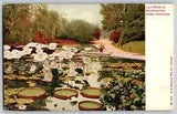 Chicago, Illinois - View of Lily Pond in  Washington Park - Vintage Postcard