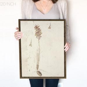 Neutral Vintage Art, Orange and Yellow Orchid, Coquette Room Decor, Plant Root Study, Botanical Printable, Neutral Plant Art, Printable