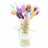Natural Dried Flowers Lagurus Ovatus Rabbit Bunny Tail Grass Bunch Real 50pcs
