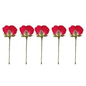 12 pcs natural dried flowers Bath Bombs Flower Preserved Flower Nail