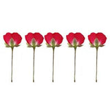 12 pcs natural dried flowers Bath Bombs Flower Preserved Flower Nail