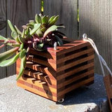 217. Salvaged Sapele Wood Hanging Basket Planter for Orchids, Bromeliads, Ferns, Cacti, Other Epiphytes and Succulents
