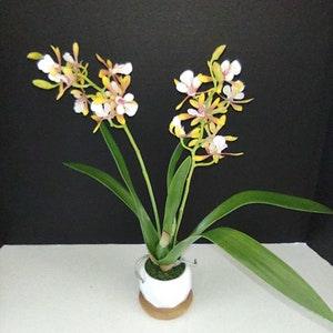 Artificial Mini Cattleya Orchid plant YELLOW PINK