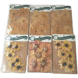Dried Flower Lot X 6 Packaged Knud Nielsen Pressed 6 Crafts Botanical Farmhouse