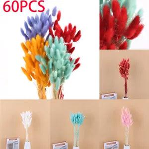 60pcs Rabbit Tail Grass Bunny Tails Dried Flowers Lagurus Ovatus Plant Stem Gift