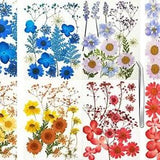 Anpintai Real Dried Pressed Flowers Leaves Petals for Crafts Dried Flowers fo...