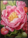 The Elegant Peony - Counted Cross Stitch Patterns - Color & BW Symbols