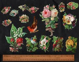 Flowers & Birds 16 Rare Old Scraps Cards Early 1900s Rose Lily of Valley Plants