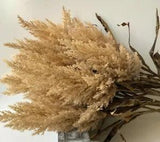 PAMPAS GRASS BEIGE FAUX GRASSES ARTIFICIAL DRIED FLOWERS WEDDING DECORATION FAKE
