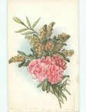 Pre-Linen BEAUTIFUL PINK CARNATION FLOWERS : make an offer k4551