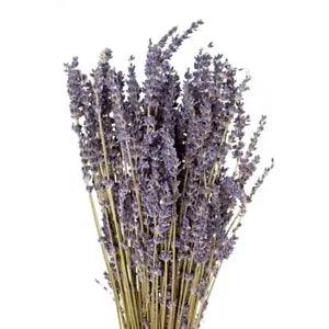 Provence Dried Lavender Bundle: Fragrant and Beautiful