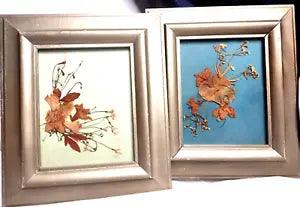 2 Wood Framed VTG Pressed Dried Flowers Autumn Colors on Matt Board 4X5 MCM