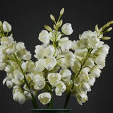 Quality Yucca Stem with Bud, Artificial Orchid Flower Branch, Wedding Floral Decoration, Living Room Floor Vase Filler, Bouquet DIY Material