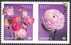 2023 Canada SC# Flowers - Ranunculus - die cut pair from booklet - M-NH