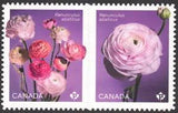 2023 Canada SC# Flowers - Ranunculus - die cut pair from booklet - M-NH