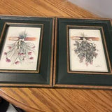 Frames Pictures Of Dried Herbs Set Of 2