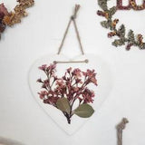 Dried Flower Art