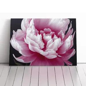 Splendid Peony Flower Canvas Print Wall Art Framed Picture Home Decor Large