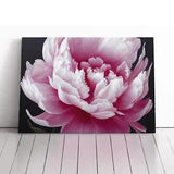 Splendid Peony Flower Canvas Print Wall Art Framed Picture Home Decor Large