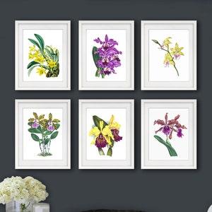 Orchid Plant Botanical Print Set of 6 Yellow Purple Flowers Grandmillenial Decor Idea