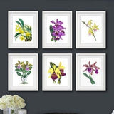 Orchid Plant Botanical Print Set of 6 Yellow Purple Flowers Grandmillenial Decor Idea