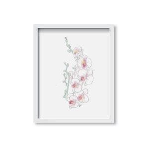 Janet's Orchid - Flowers Fine Art Illustration Print, Vintage Wall Art Print, Poster Illustration, Art for Home, Office, Frame or Unframed