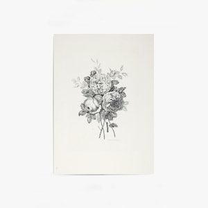 Peony Sketch | Vintage Flower Print | Floral Drawing | Floral Sketch Flower Art | Vintage Print | Vintage Wall Art | PRINTABLE Art #166